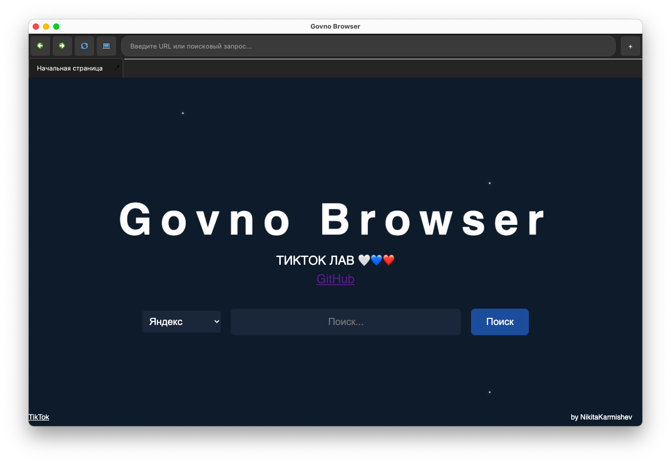 GovnoBrowser Screenshot 3